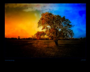 Advanced Lightroom techniques.