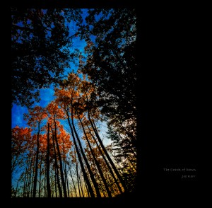 The fist morning light that touches the tree tops.