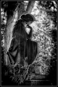 Back lit or rim light.