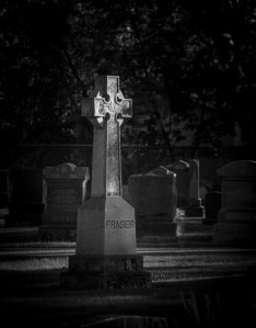 Dappled light through trees.